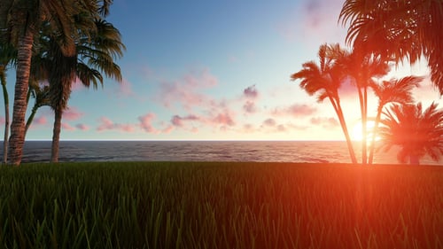 Tropical Beach Sunset with Swaying Palm Trees and Calm Ocean