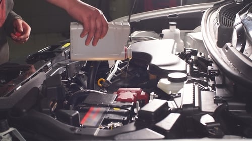 Adult Adding Oil to a Car Engine