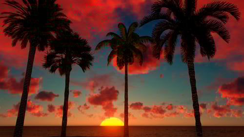 Tropical Sunset with Palm Trees and Dynamic Sky over Ocean