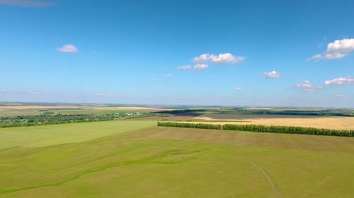 Aerial View of the River, Forest, Fields, a Herd of Cows and Shepherds Near the Village