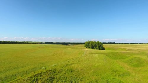 Aerial View of the River, Forest, Fields, a Herd of Cows and Shepherds Near the Village