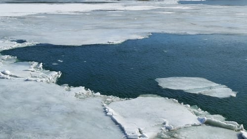Cracked Ice Floating on the River in Spring Time