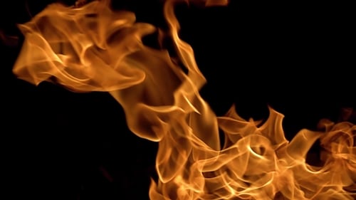 Close Up of Fire Flames on Black Background