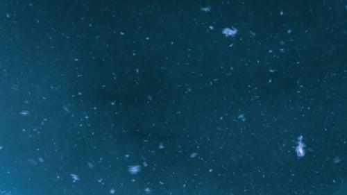 Schneeflocken fliegen im Winter am dunklen Nachthimmel. Blauer Schneefall-Hintergrund