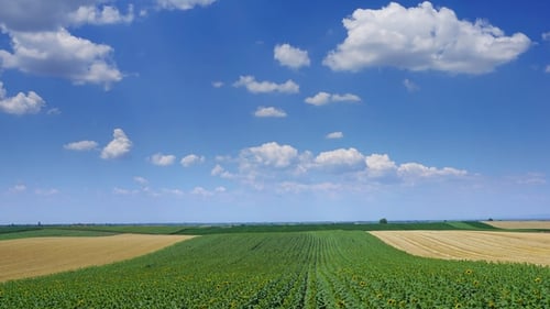 Rural Landscape with Fields Stripes in Serbia