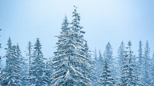 Beautiful Winter Landscape with Snow Covered Trees. Winter Mountains.