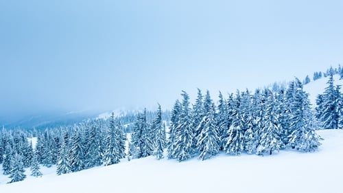 Wunderschöne Winterlandschaft mit schneebedeckten Bäumen. Winterliche Berge.