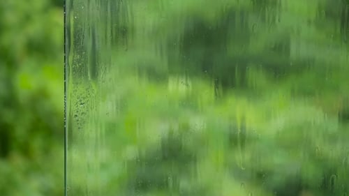 Regentropfen fließen über die Oberfläche des Glases gegen das saftige Grün