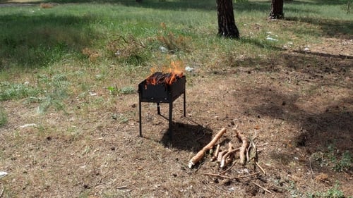 Brazier Barbecue Grill in Forest