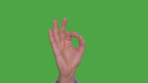 Partial View of Male Hand Showing Okey Symbol Gestures. Alpha Channel