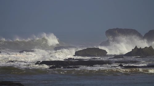 Flying Seagulls and Big Waves of the Ocean