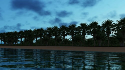 Palm Island at Dusk
