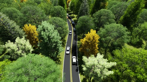 Car On The Road In The Forest