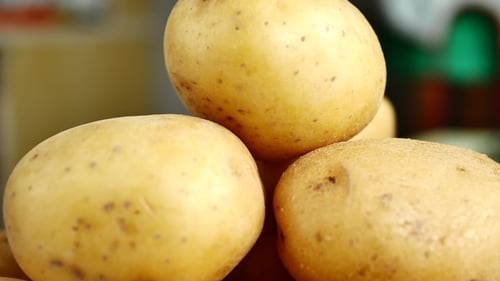 Pile of Yellow Potatoes in Close Up Shot