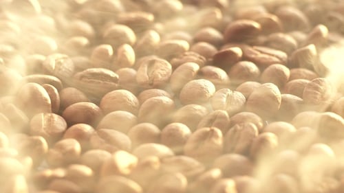 Roasted Coffee Beans Poured into Pile Close-Up