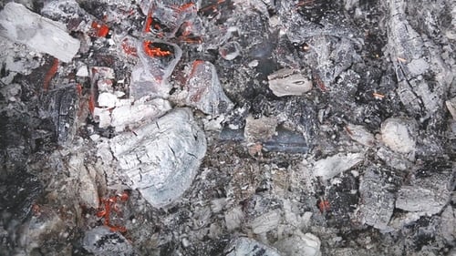 The Wind Blows on the Coals and the Ashes Fly Off in