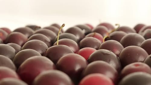 Slow tilt over fresh cherry plum on table close-up 4K 2160p 30fps UltraHD footage - Tilting on red