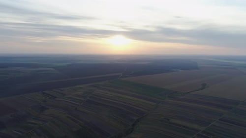 Aerial View of Farm Fields at Sunrise
