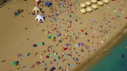 Aerial View From Flying Drone