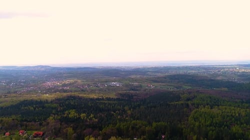 Aerial View of Forest