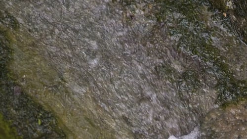 River Flows over Rocks
