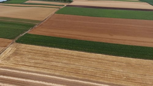 View of Agriculture Fields in Serbia