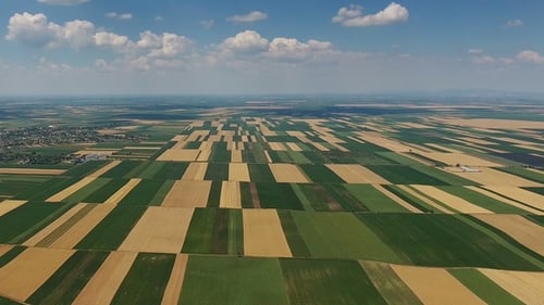 Aerial View of Lush Green and Golden Farm Fields