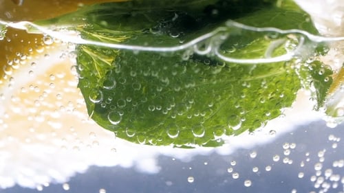 Close up of Lemon and Mint in Water