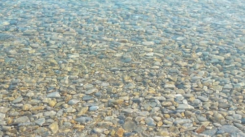 Clear Water and Pebbles at the Shore