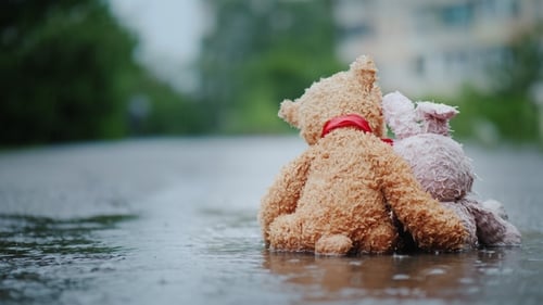 Faithful Friends - a Bunny and a Bear Cub Sit Side By Side on the Road, Wet Under the Pouring Rain