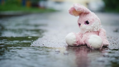 Lost Pink Bunny Sits in Rainwater Puddle