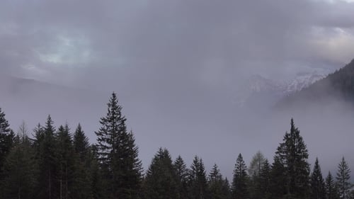 Mountain Alps Landscape with Trees in Fog Clouds