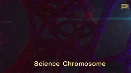 Science Chromosome 4K
