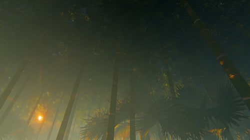 Thickets Of Bamboo