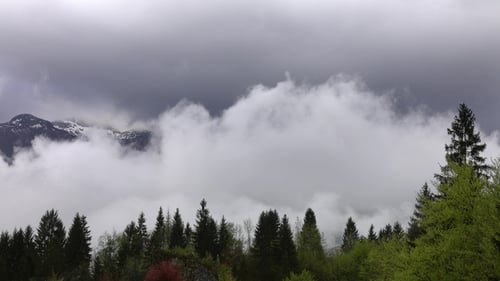 Mountain Landscape with Trees in Fog and Clouds