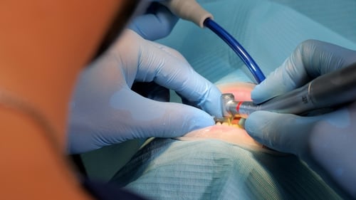 Dental Work Performed by Gloved Hands with Tools