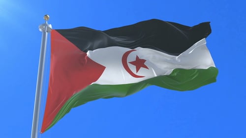 Sahrawi Arab Democratic Republic Flag Waving Seamless Loop