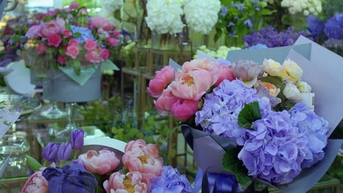 Variety of Flowers in Flower Shop