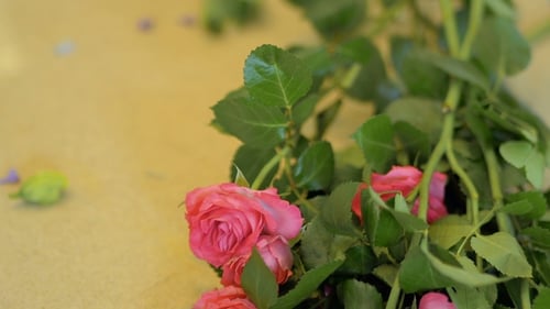 Annäherung der Kamera an Rosen auf dem Tisch