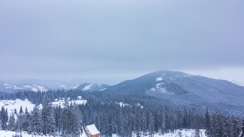 Beautiful Winter Landscape with Snow Covered Trees in the Mountains