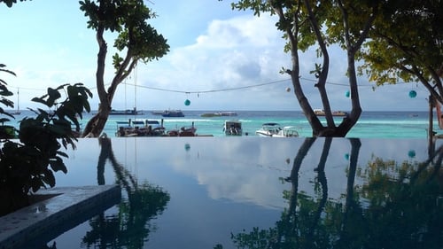 Silhouettes of Trees Reflected in Pool at Beach