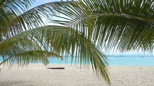 Palm Leaves and White Sand Tropical Beach