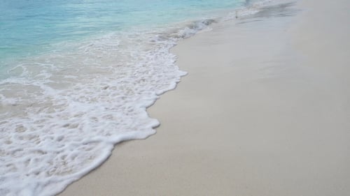 Tropical Beach with White Sand