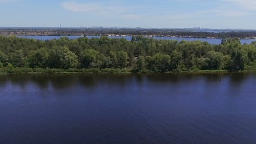Aerial View on River and Trees