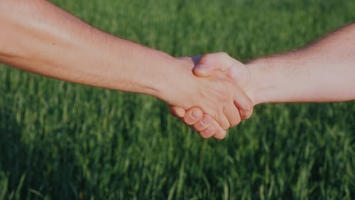 Two Farmers Shake Hands Against the Background of a Green Wheat Field