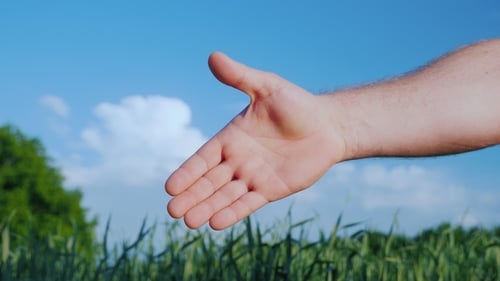 Two Male Farmers Shake Hands. Against the Background of a Green Field and a Blue Sky. Deal in