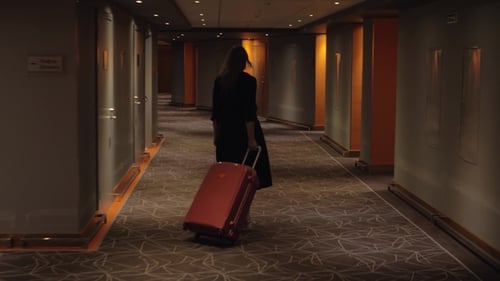 Hotel Guest with Trolley Case Walking To the Room