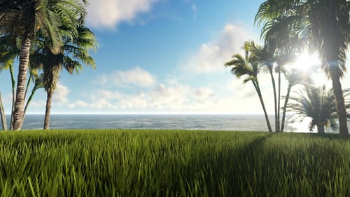 Palmen und Meer