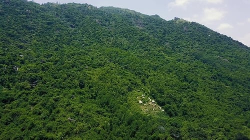 High Green Mountain Covered Tropical Trees and Stones Beautiful Mountain Landscape