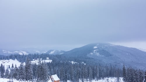 Snowy Mountains and Forests in Winter Aerial View
